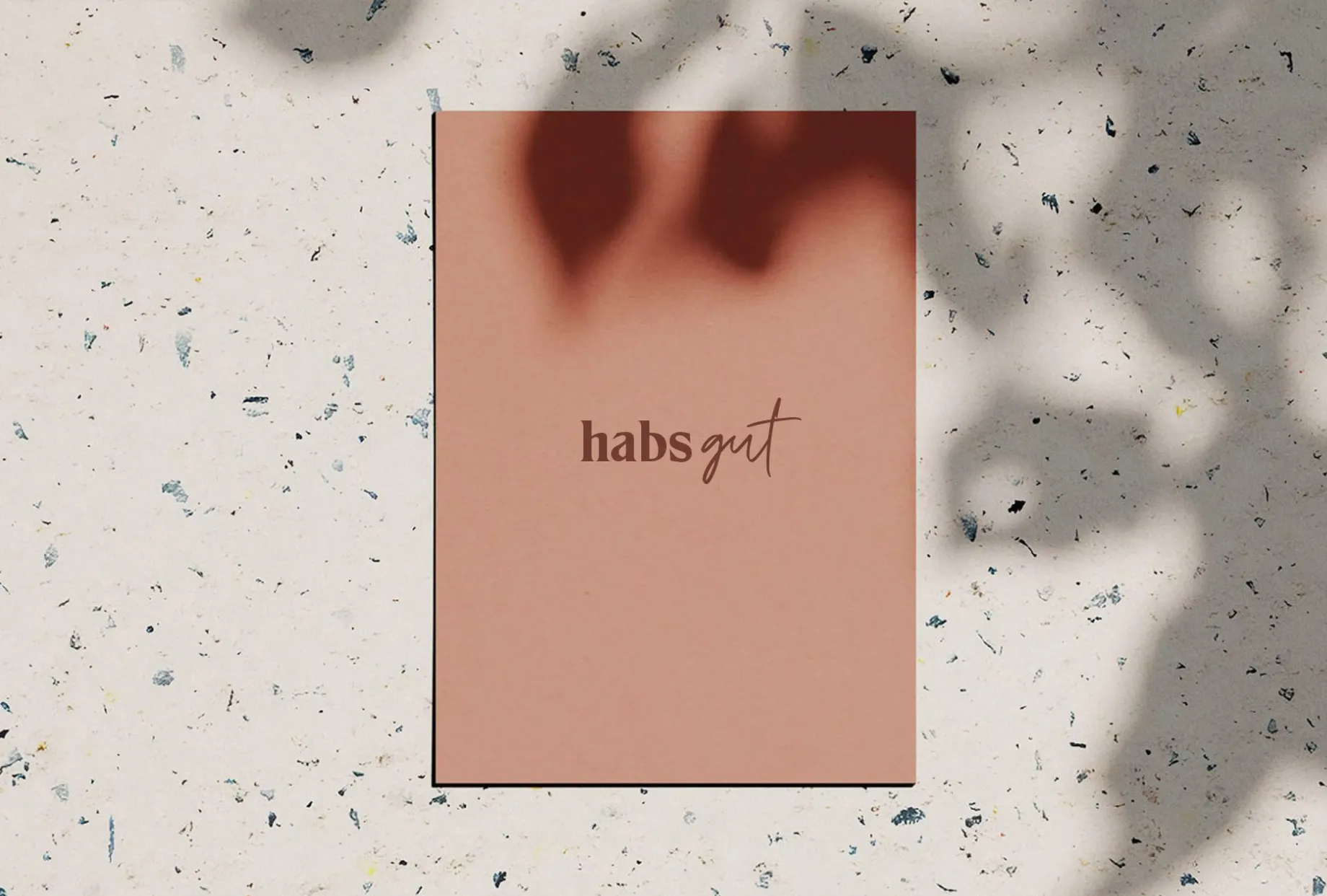 Terrakottafarbene Karte mit dem habs*gut-Schriftzug, liegend auf hellem Papier mit farbigen Einschlüssen. Blattschatten fallen von rechts ins Bild.