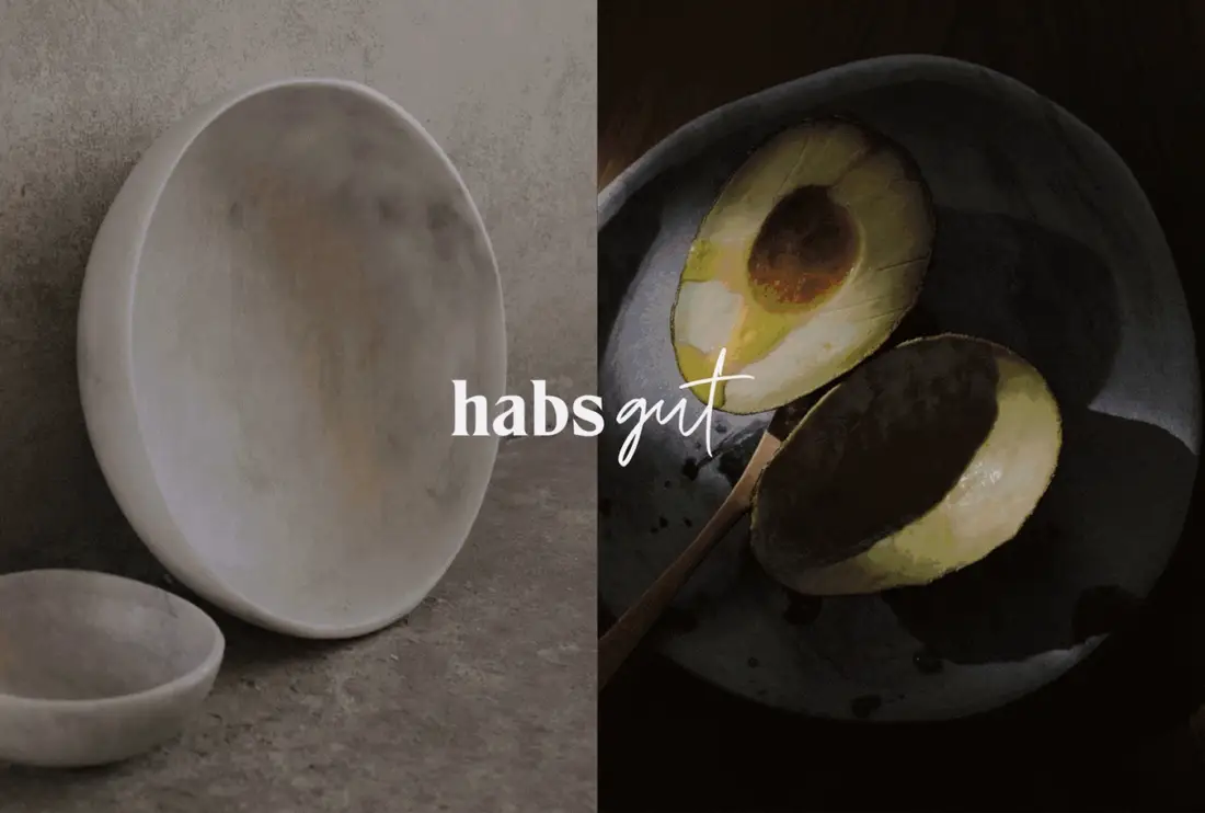 Aufsicht auf Teller und eine halbierte Avocado, darüber der habs*gut-Schriftzug.